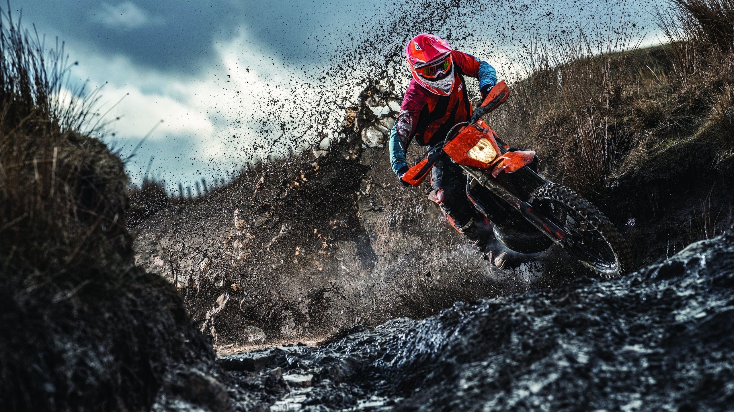 赛道上的魔法师，哈利伯顿点燃F1街道赛之夜